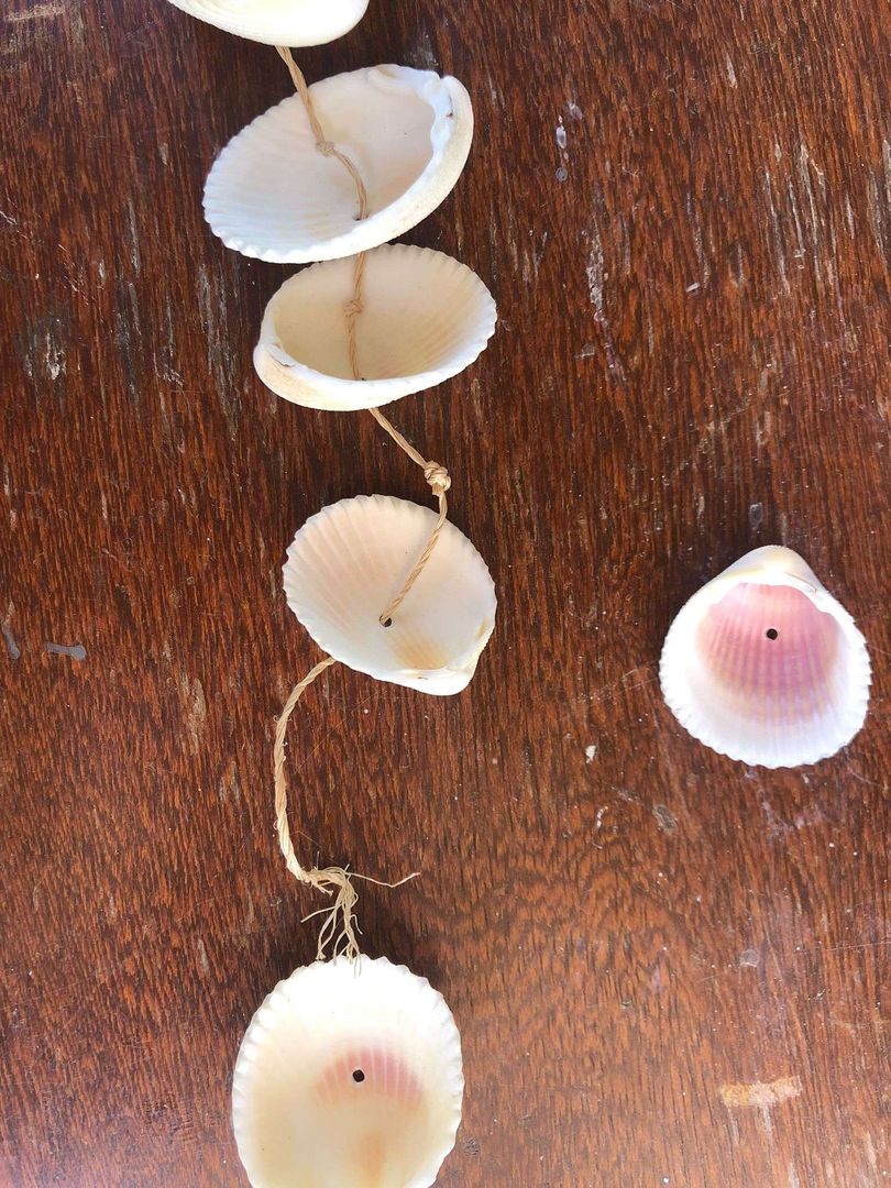 Espelhos com Moldura Natural: Refletindo o Litoral - inspiração 2