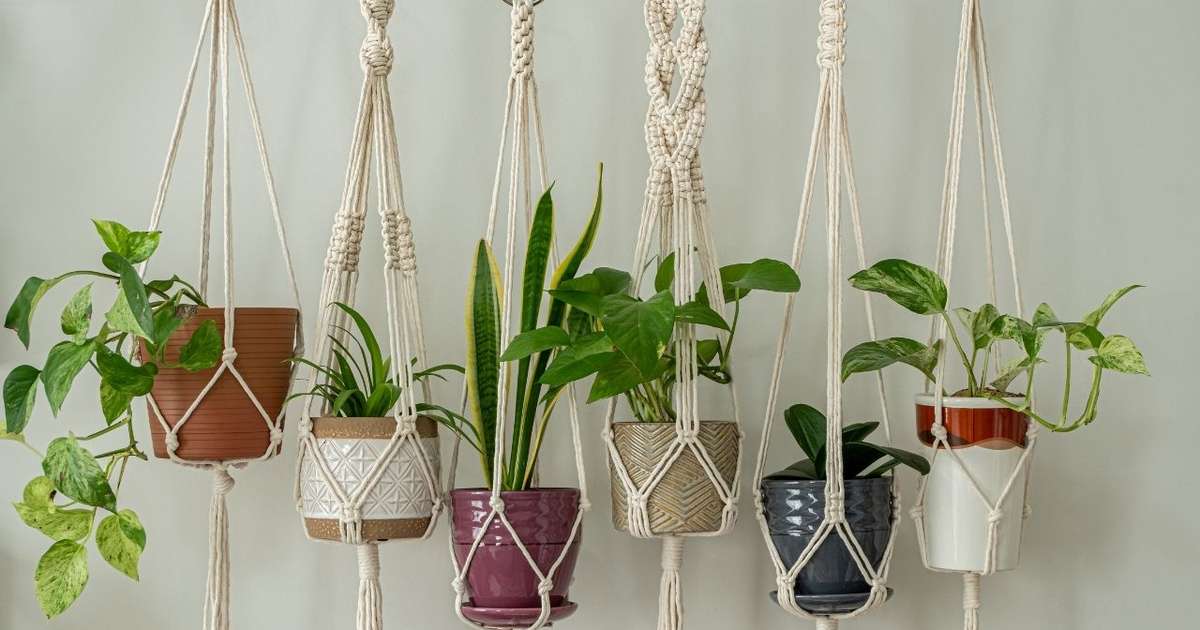 Técnicas de Nó para Cestas e Suportes Firmes - inspiração 1