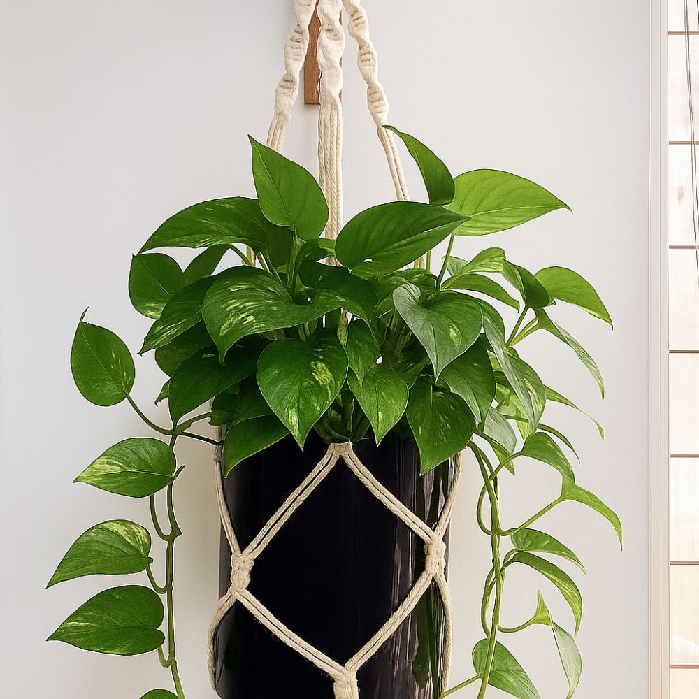 A Arte de Incorporar Contas e Elementos Decorativos - inspiração 1