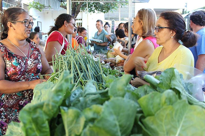 Frescor Incomparável: Alimentos Colhidos na Hora, Direto para Sua Mesa - inspiração 1