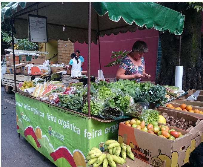 Variedade da Estação: Saboreando o Melhor que Cada Período Oferece - inspiração 1