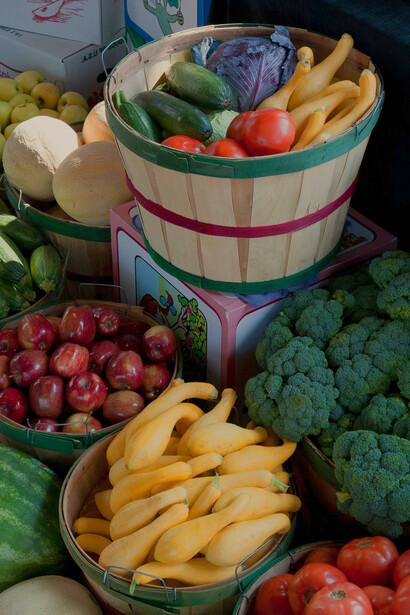 Descobrindo Sabores Autênticos - inspiração 1