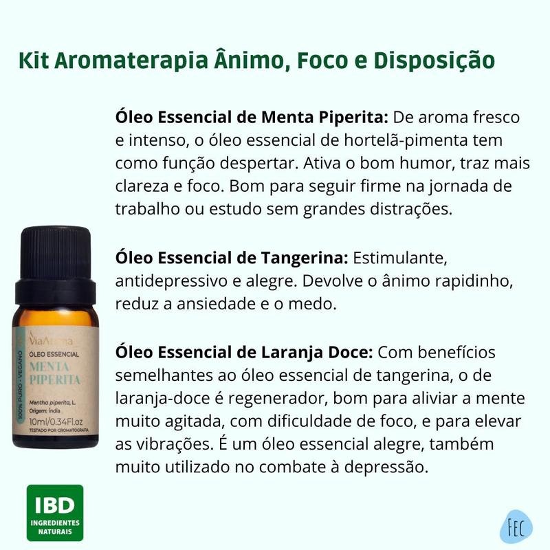 Impulsionando Sua Energia e Foco Durante o Passeio - inspiração 1