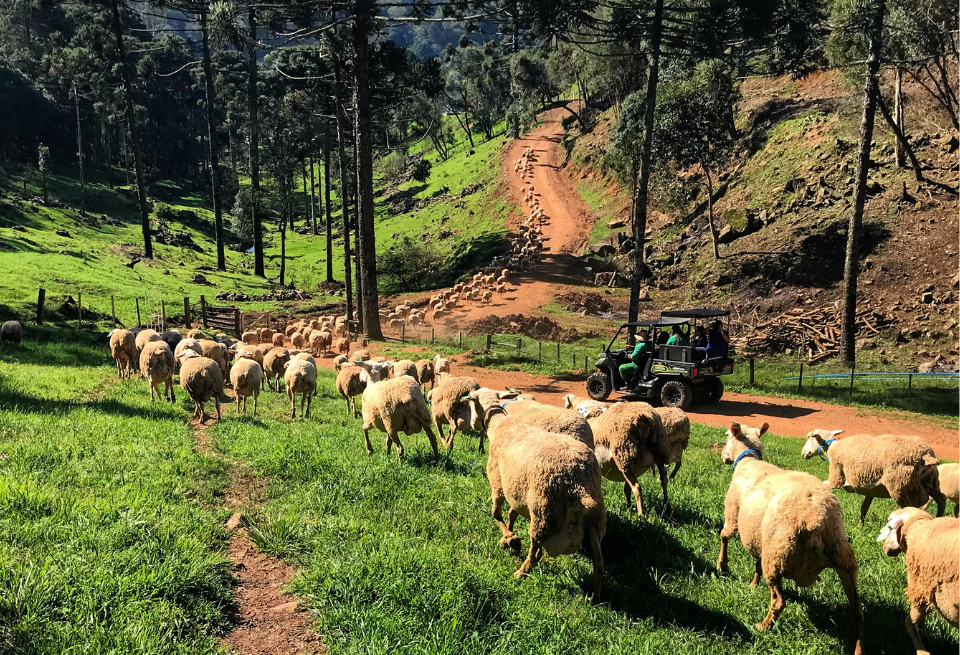 Oportunidades de Fotografia Únicas - inspiração 2