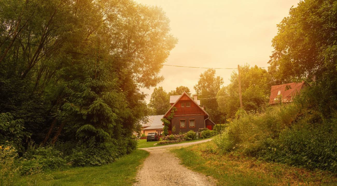 Contato Direto com a Natureza - inspiração 2