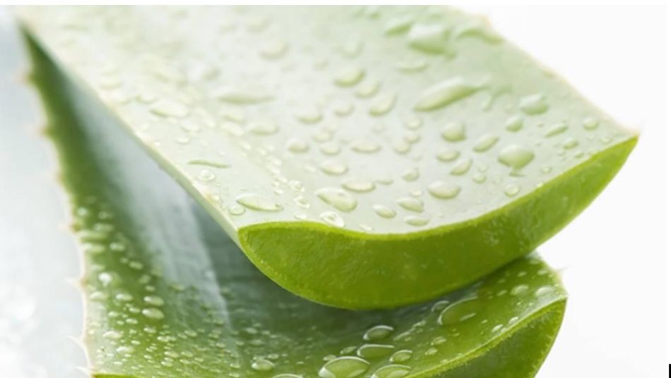 Preparação Ideal da Pele Para Maquiagem - inspiração 2