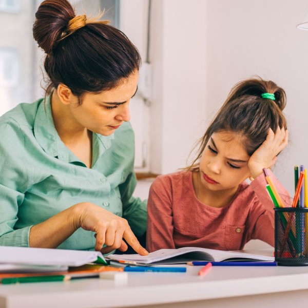 Celebre as Pequenas Vitórias e o Esforço Demonstrado - inspiração 2