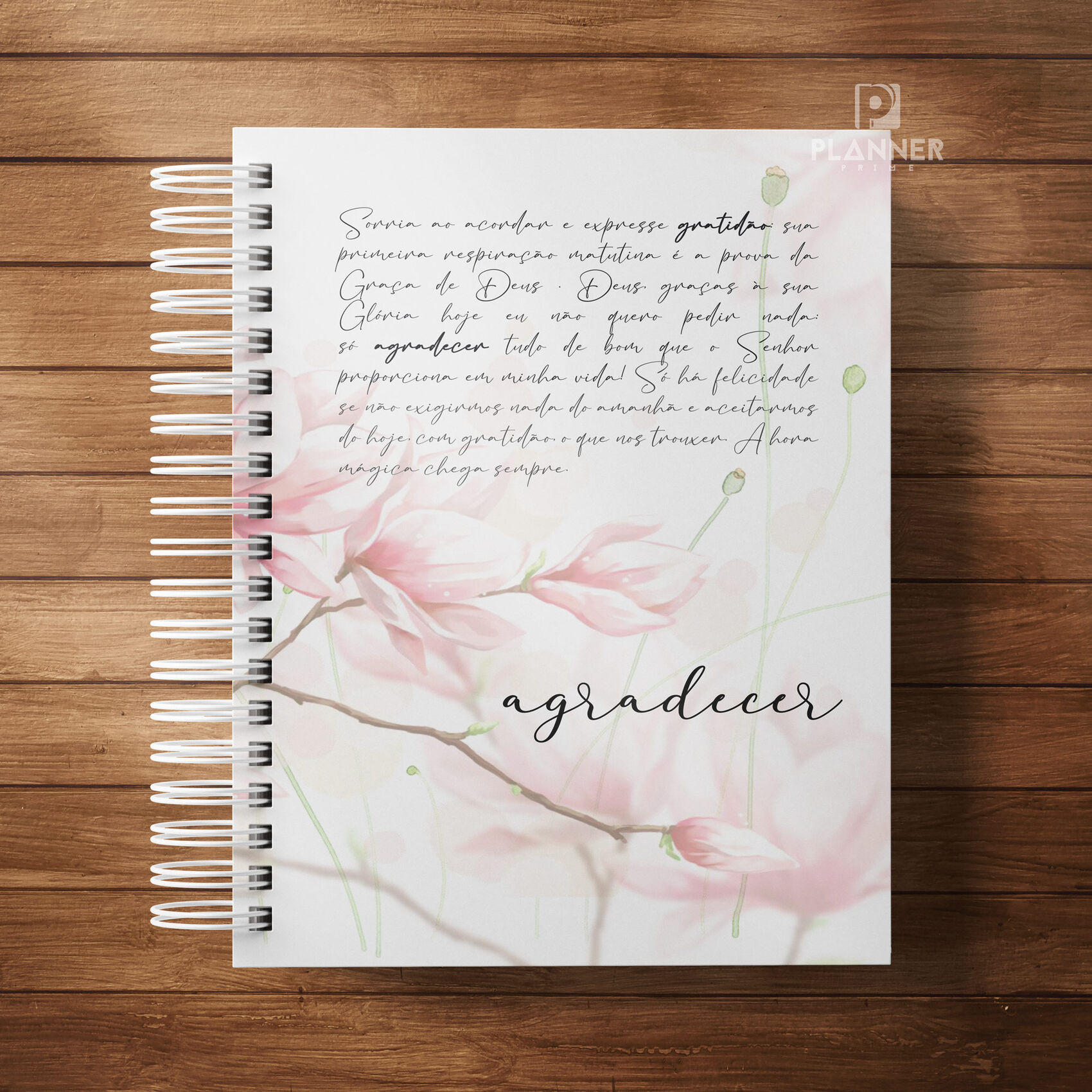 Compartilhando Sua Jornada (Opcional) - inspiração 2