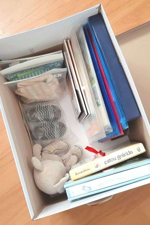 Organizando o Conteúdo: O Que Não Pode Faltar - inspiração 1