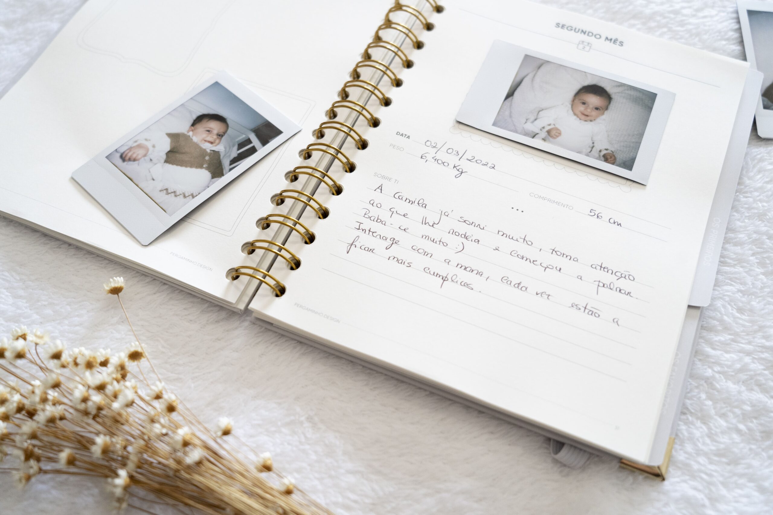 Fotografias: Momentos Eternizados com Criatividade - inspiração 1