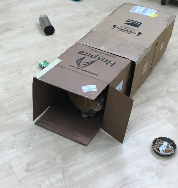 Manutenção e Durabilidade: Prolongando a Vida Útil dos Brinquedos Feitos à Mão - inspiração 1