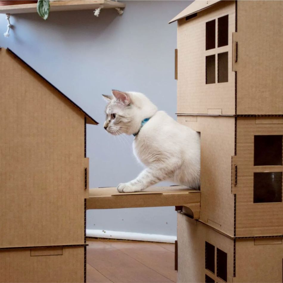 Arranhadores Naturais: Transformando Caixas em Paraísos para Unhas Afiadas - inspiração 2