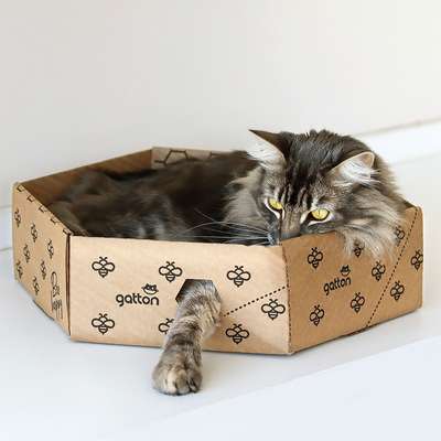 Bolinhas e Ratinhos: Brinquedos Compactos que Garantem Horas de Diversão - inspiração 1