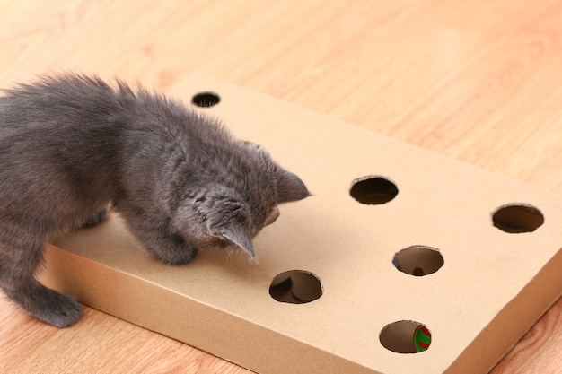 Torres e Arranhadores Verticais: Otimizando o Espaço e Estimulando Movimento - inspiração 1