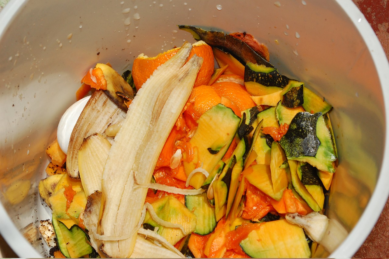 Solucionando Probleminhas Comuns da Compostagem em Baldes - inspiração 1