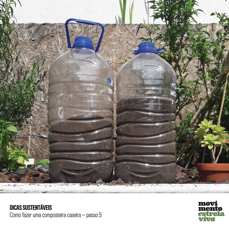 Desvendando os Mistérios dos Pequenos Ajudantes: Minhocas - inspiração 2