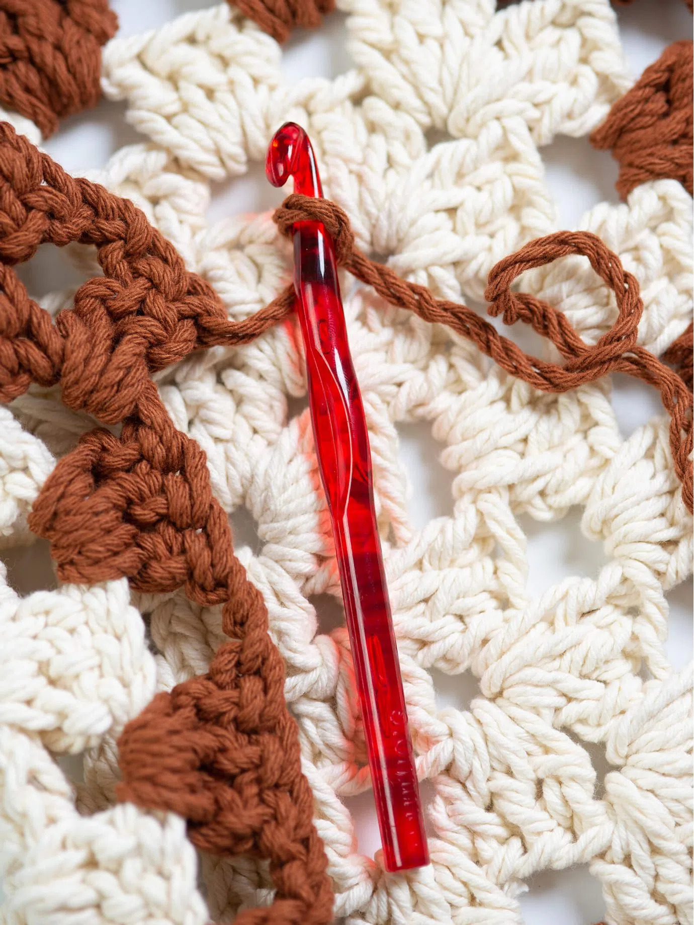 Variedade que Encanta: Explorando o Ponto Meio Alto e Ponto Baixíssimo - inspiração 2