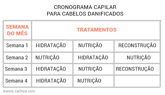 Dicas Extras para Potencializar os Resultados do Cronograma - inspiração 2