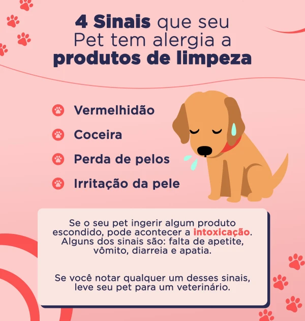 Ingredientes Essenciais: O Que Realmente Funciona? - inspiração 2