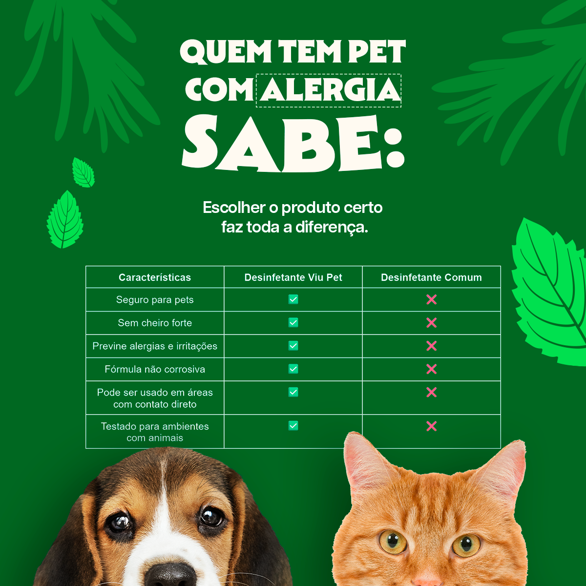 A Importância da Ventilação: Limpeza Sem Fumaça Tóxica - inspiração 2