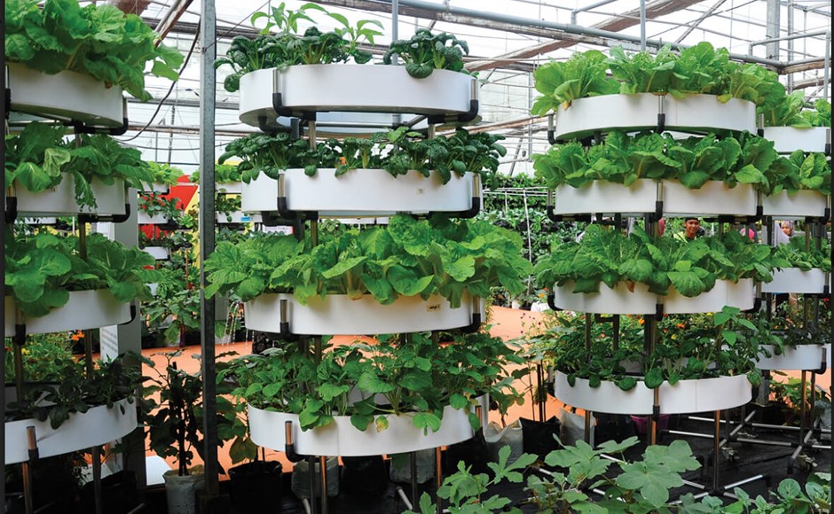 Preparando o Substrato: A Base para o Crescimento Saudável - inspiração 1