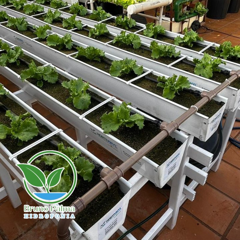 Irrigação Eficiente: Dicas para Manter a Horta Saudável - inspiração 1