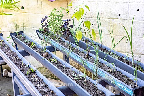 Irrigação Eficiente: Dicas para Manter a Horta Saudável - inspiração 2