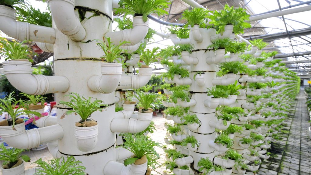 Soluções Criativas para o Drenagem e Coleta de Água - inspiração 2