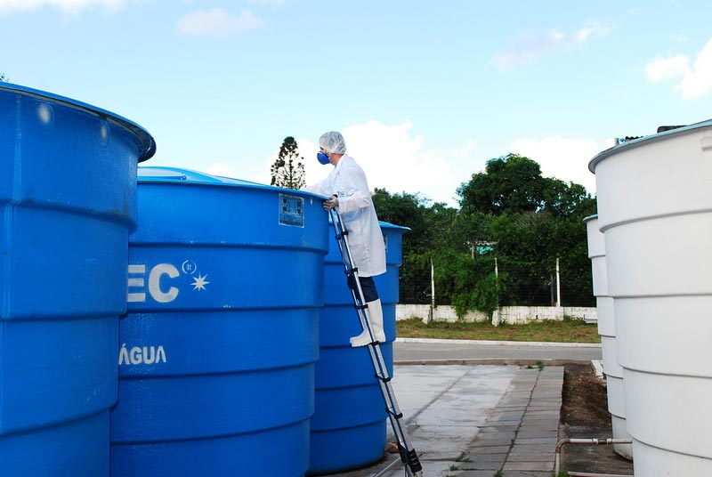 A Escovação Detalhada: Tirando Limo e Sujeira das Paredes - inspiração 1