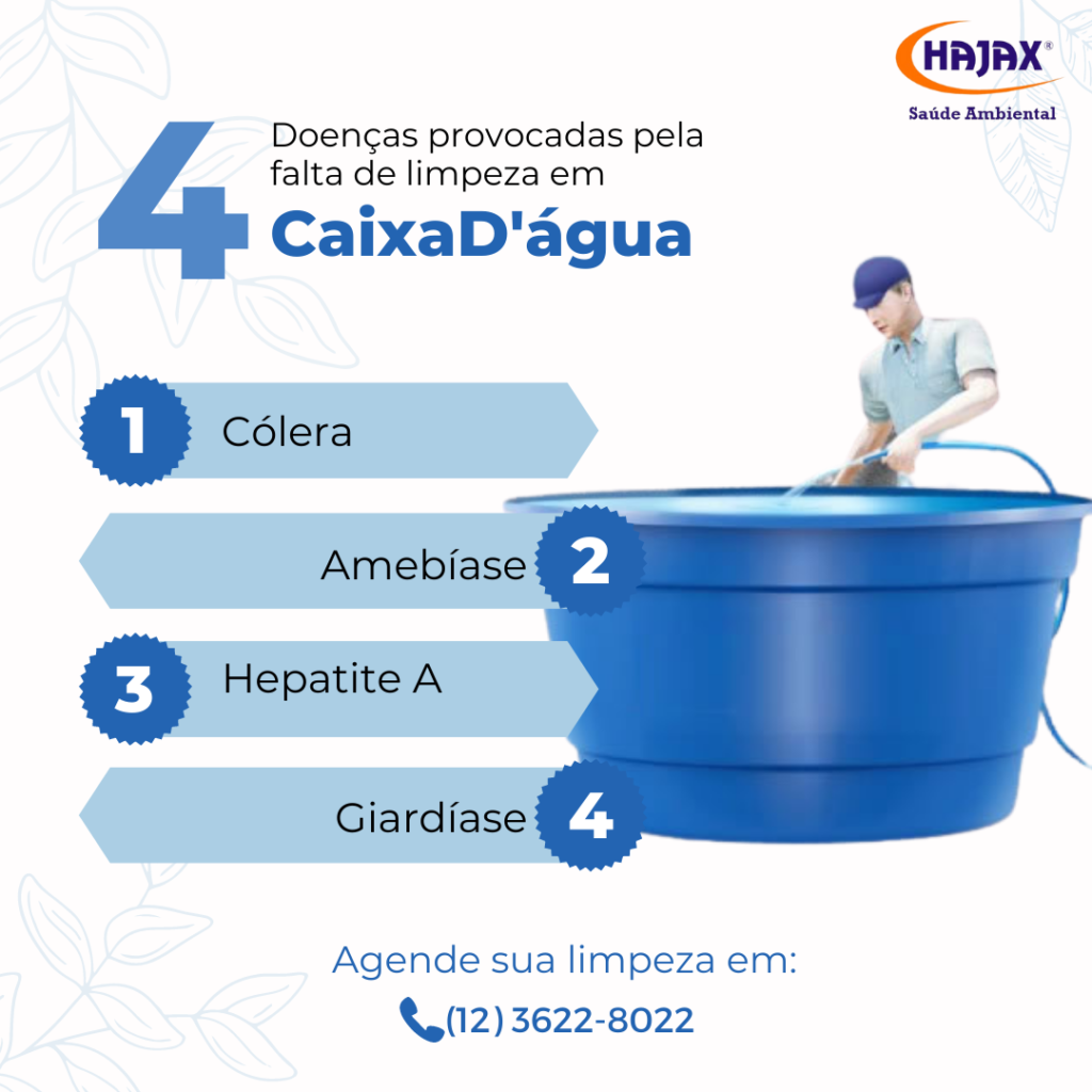 A Escovação Detalhada: Tirando Limo e Sujeira das Paredes - inspiração 2