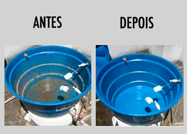 Enchendo a Caixa Novamente: De Volta à Rotina com Água Pura - inspiração 1