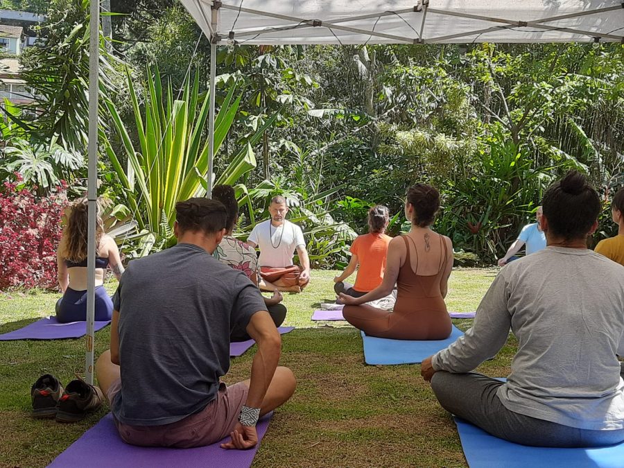 Criando um Espaço de Tranquilidade em Meio ao Movimento - inspiração 2