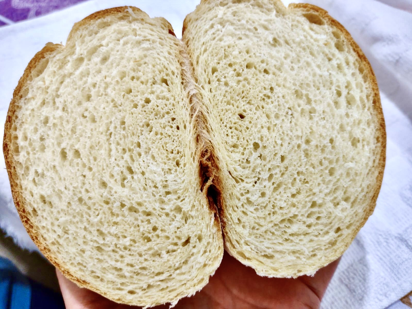 Assando o pão de leite: temperatura e tempo perfeitos - inspiração 2