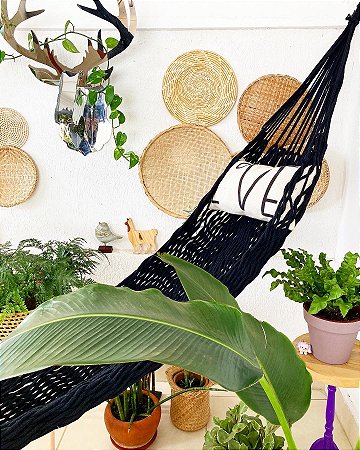 Cuidados e Manutenção: Prolongando a Vida da Sua Criação - inspiração 1