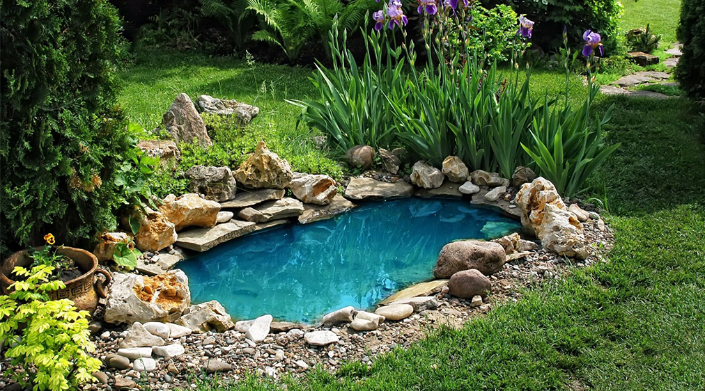 Escolhendo o Local Ideal: Onde Seu Lago Vai Brilhar - inspiração 1