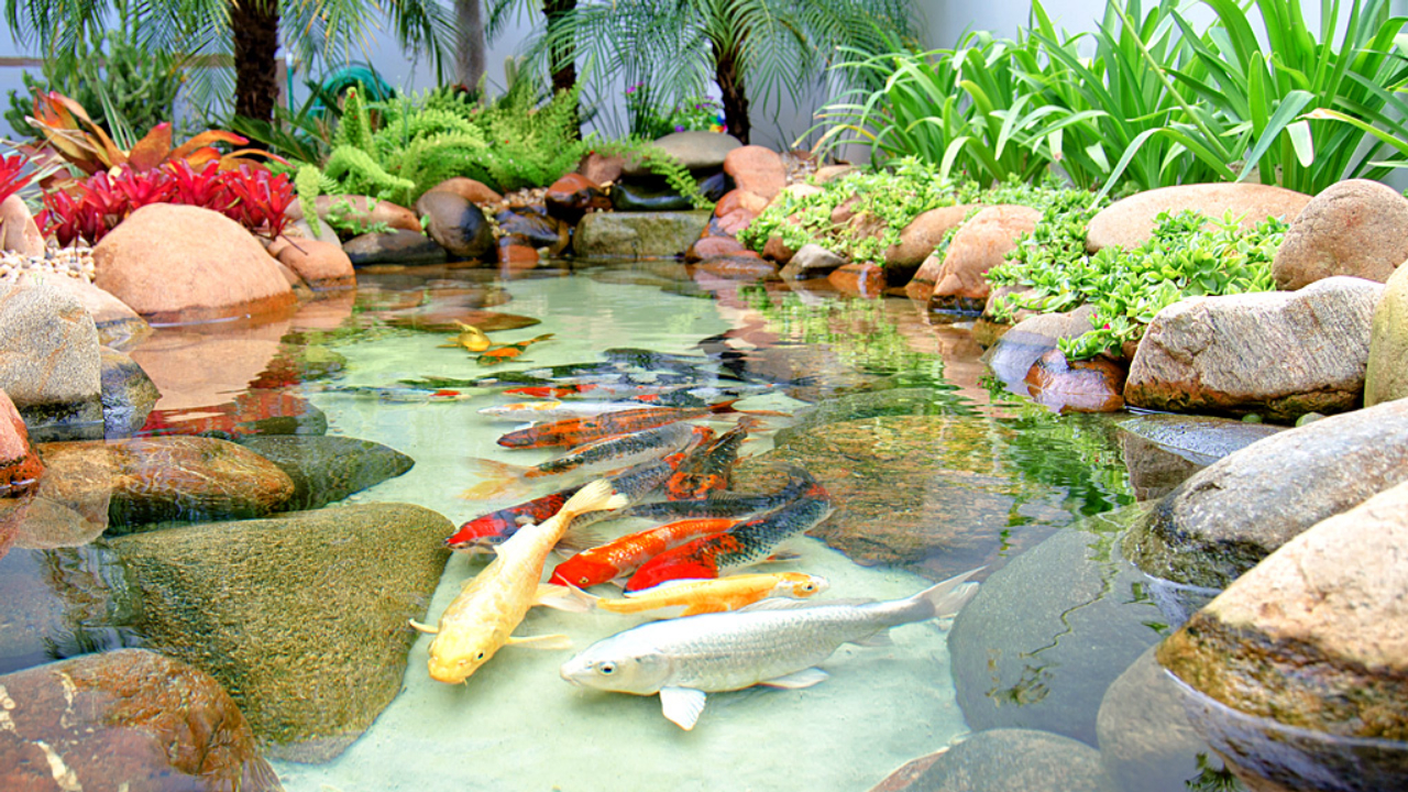 Dimensionando o Espaço: Tamanho e Profundidade Certos - inspiração 1