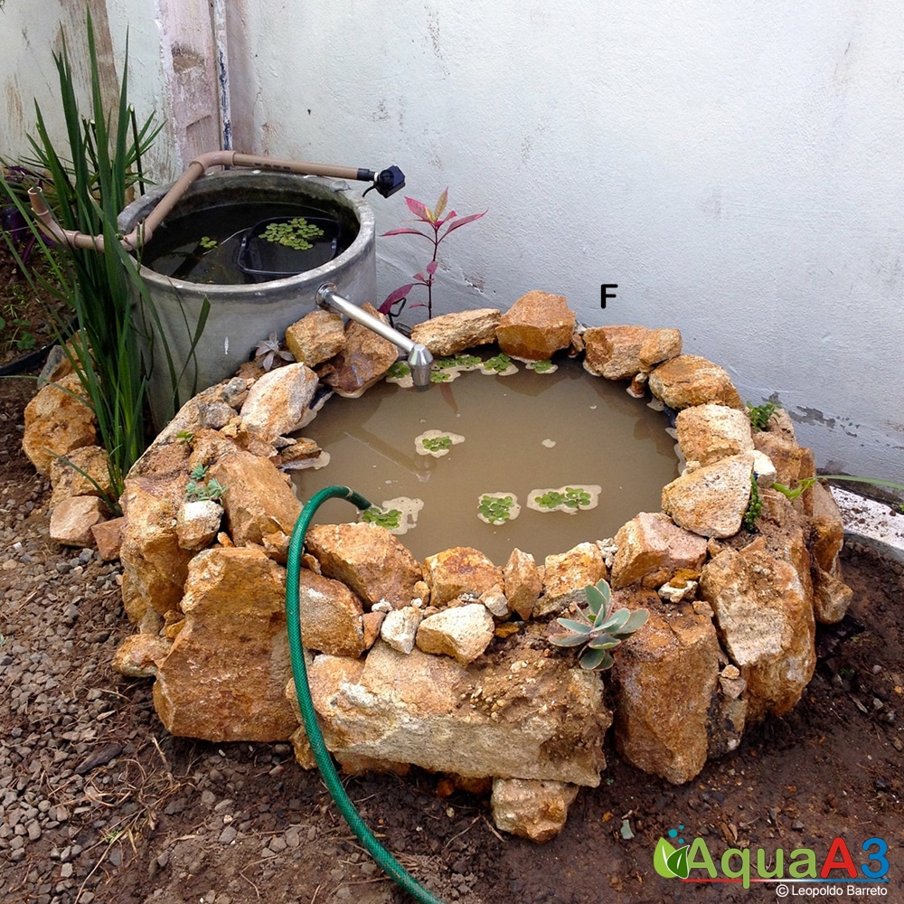 Posicionando Rochas e Decorações: Criando a Paisagem dos Sonhos - inspiração 1