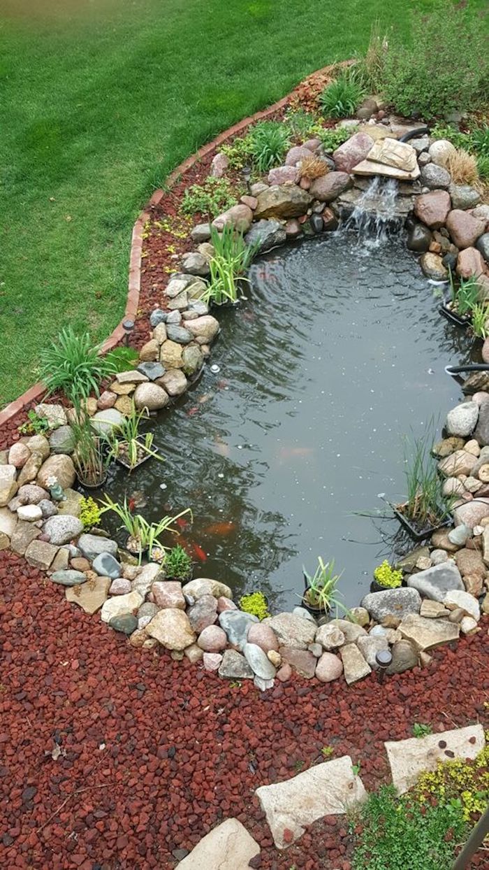 A Escolha da Bomba e Filtro: Água Limpa e Saudável - inspiração 1