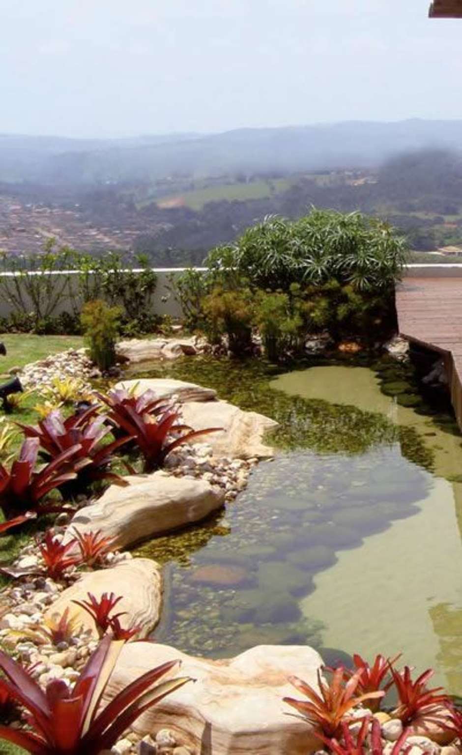 Manutenção Essencial: Deixando Seu Lago Sempre Belo - inspiração 1