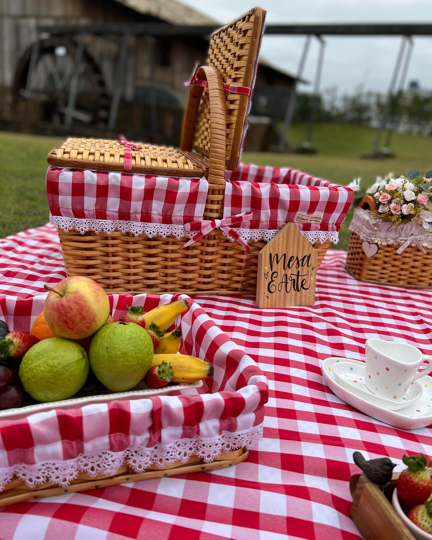 Onde Acontece a Mágica: Escolhendo o Local Ideal - inspiração 2