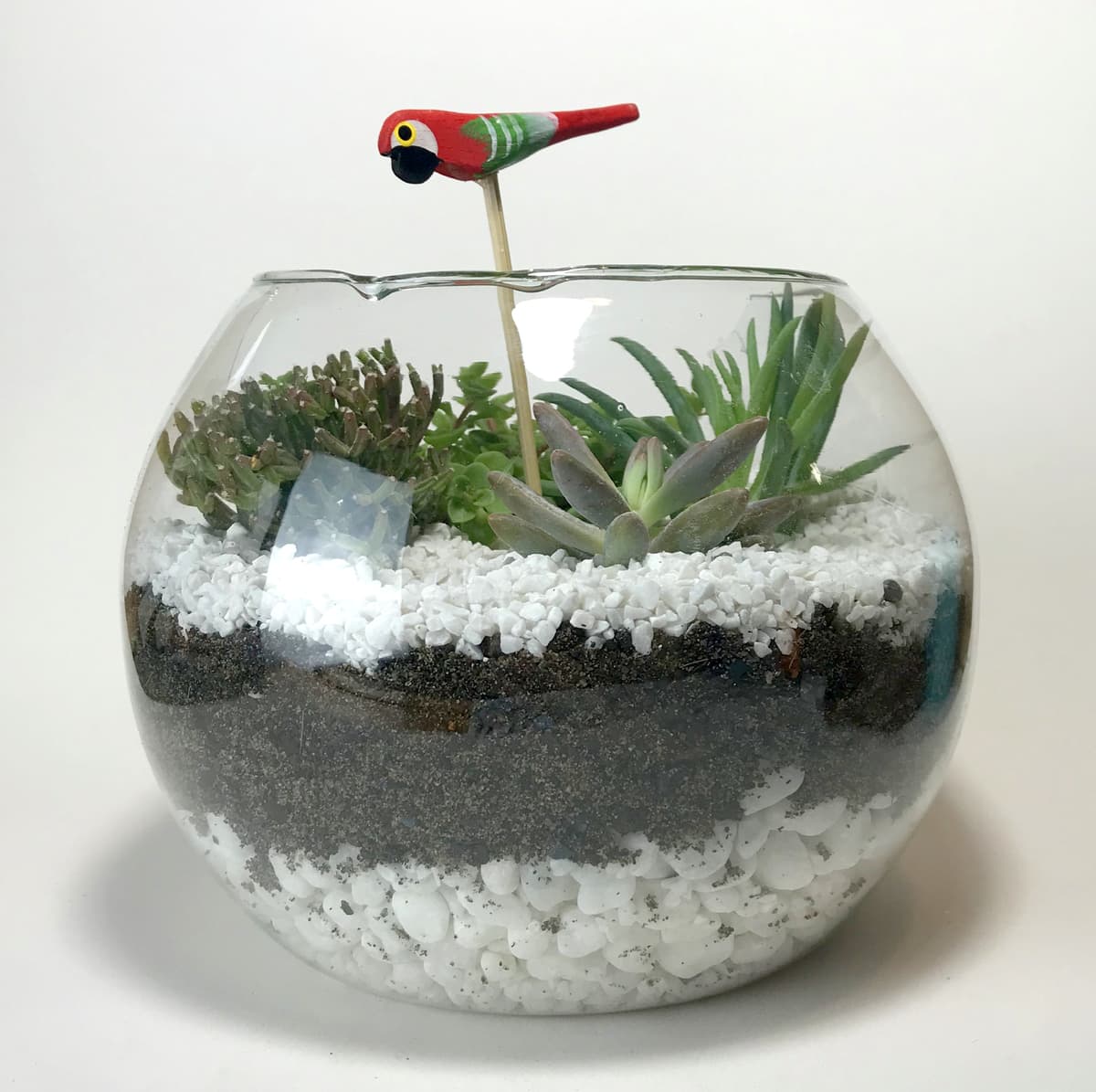 Manutenção Simples: Garantindo a Longevidade do Seu Terrário - inspiração 1