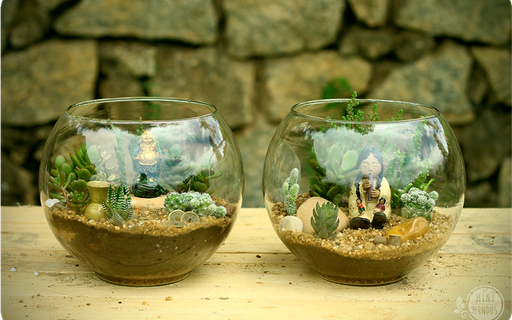 Manutenção Simples: Garantindo a Longevidade do Seu Terrário - inspiração 2