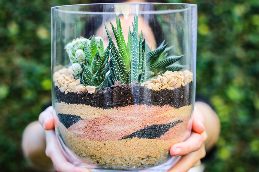 A Base Sólida: Drenagem é a Chave - inspiração 2