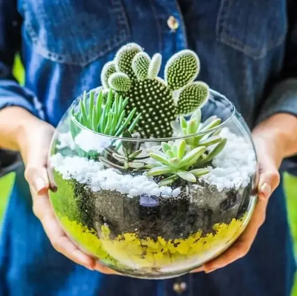 O Plantio Delicado: Dando Vida ao Seu Terrário - inspiração 1