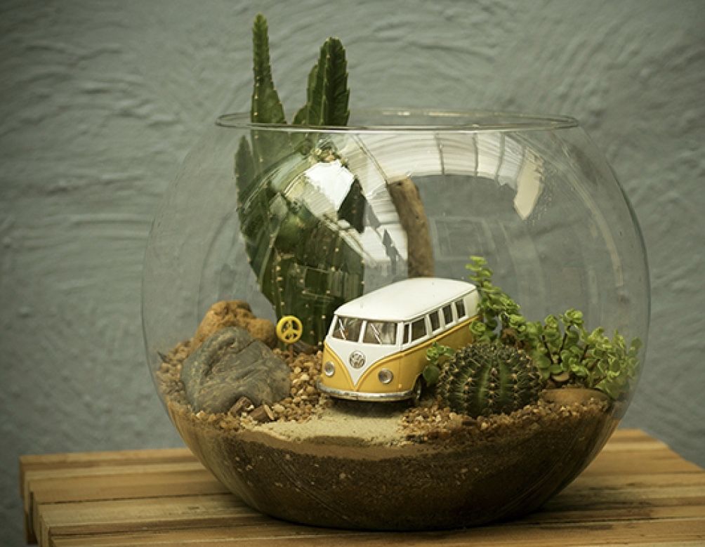 Primeiros Cuidados Pós-Montagem: Acuracidade é Fundamental - inspiração 2