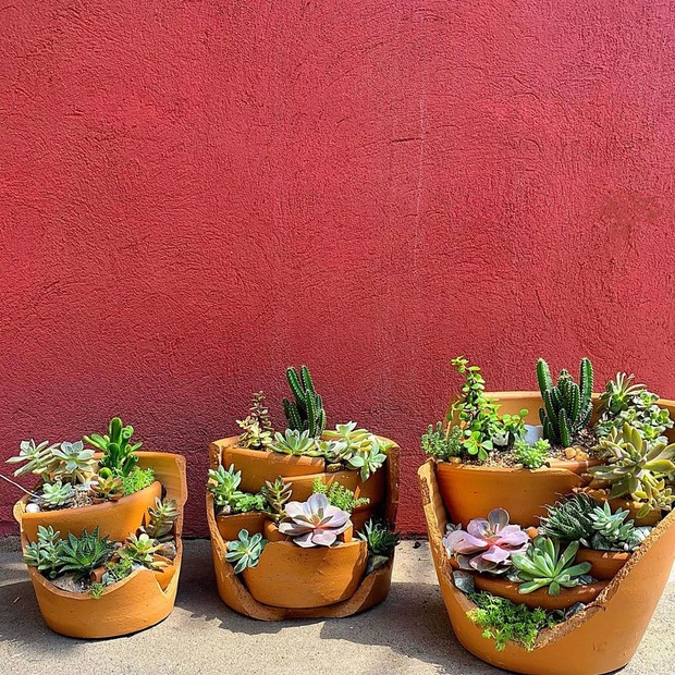 A Luz Perfeita: Encontrando o Ponto Ideal - inspiração 2