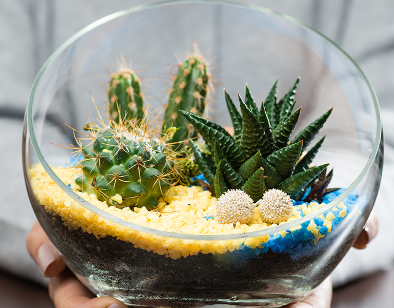 Rega Consciente: Evitando Excesso e Falta - inspiração 2