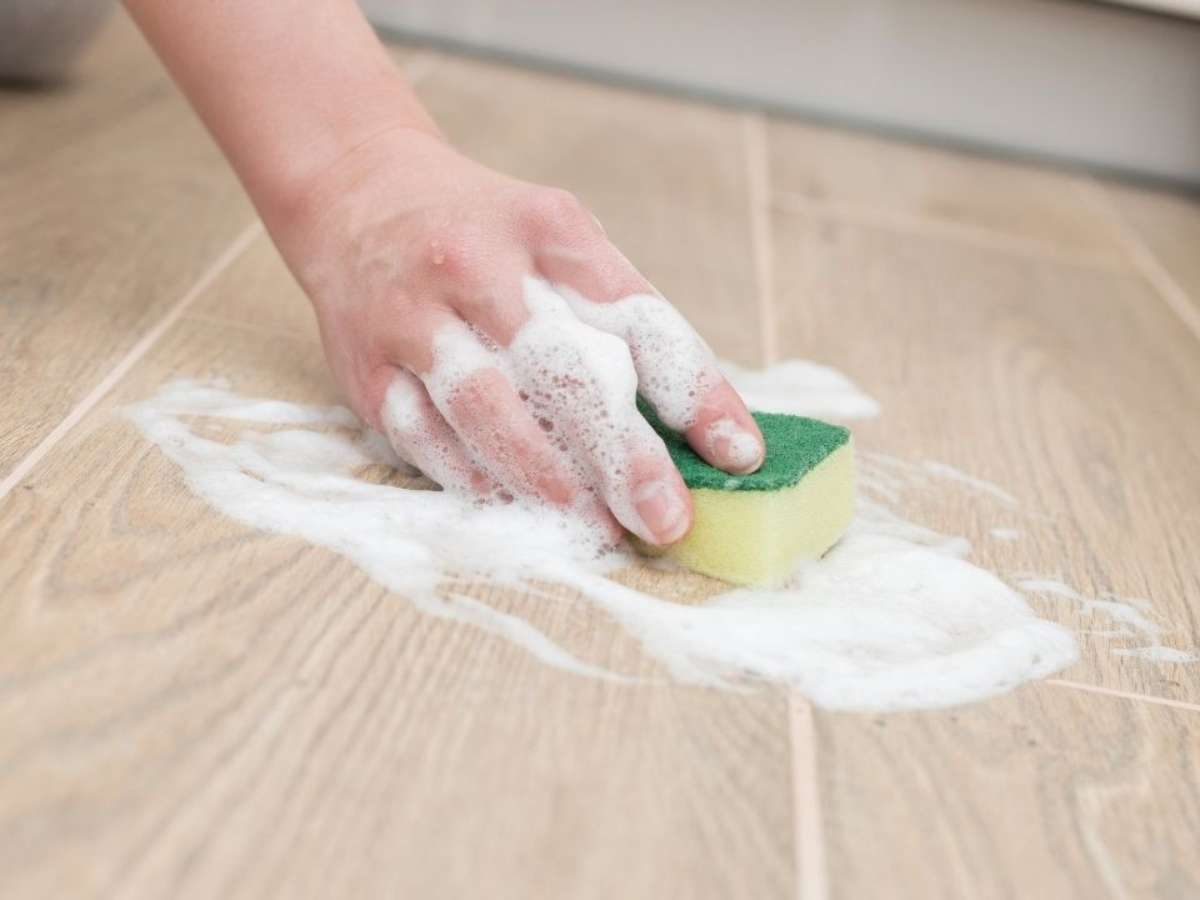 Explique o Porquê: Conscientização desde Cedo. - inspiração 2