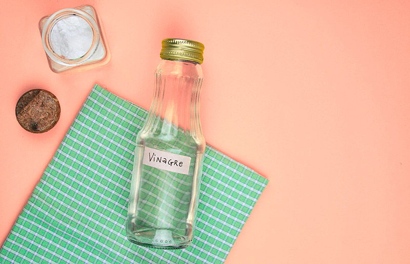 Mofo e Bolor: Diga Adeus com a Ação Antifúngica do Vinagre - inspiração 1