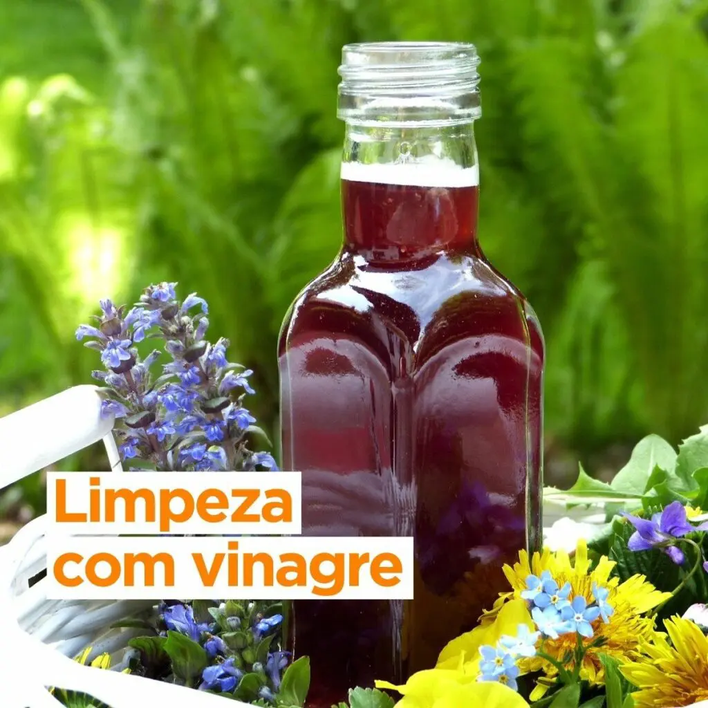 Limpeza de Roupas: Frescor e Suavidade com Toque Ecológico - inspiração 2